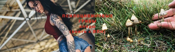 гашик Абинск