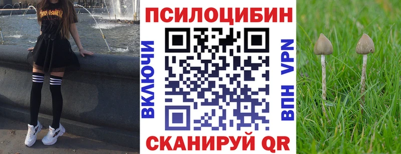 Псилоцибиновые грибы мухоморы  продажа наркотиков  Холм 